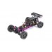Baha 10B 2WD BRUSHLESS Buggy - PURPLE │ FREE SHIPPING Baha 10B 2WD BRUSHLESS Buggy - PURPLE │ FREE SHIPPING